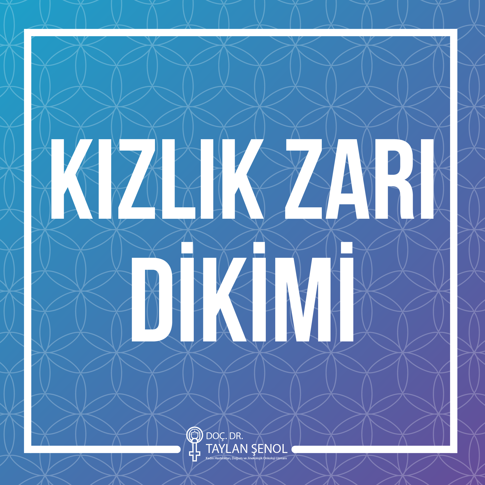 Kızlık Zarı Dikimi