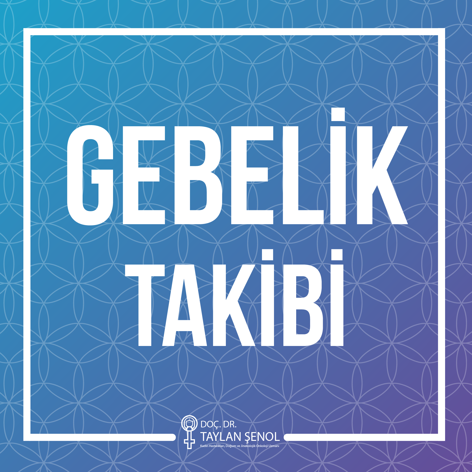 Gebelik Takibi