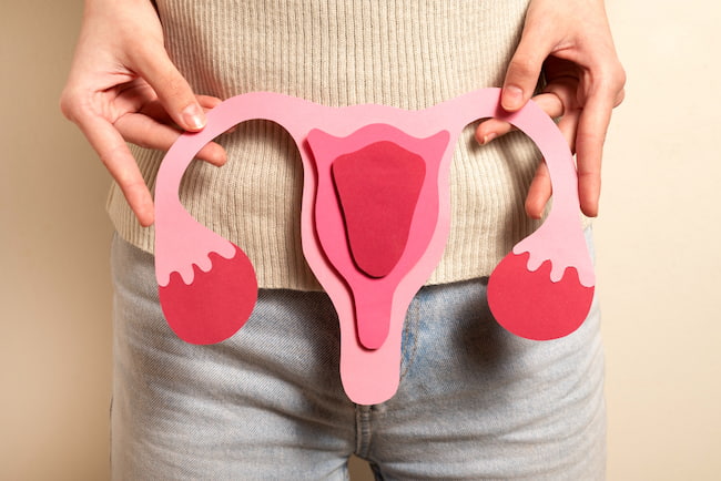 dermoid kist nedir